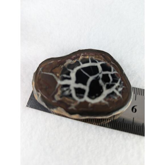 Dragon Stone Septarian slice fossil 41 x 55mm 35.5 grams Thunder egg NWOT - Picture 7 of 11